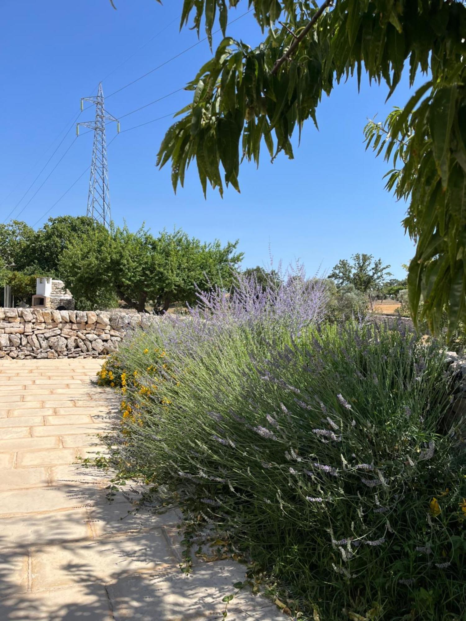 Trulli Don Diego Bed and Breakfast Noci Exteriör bild